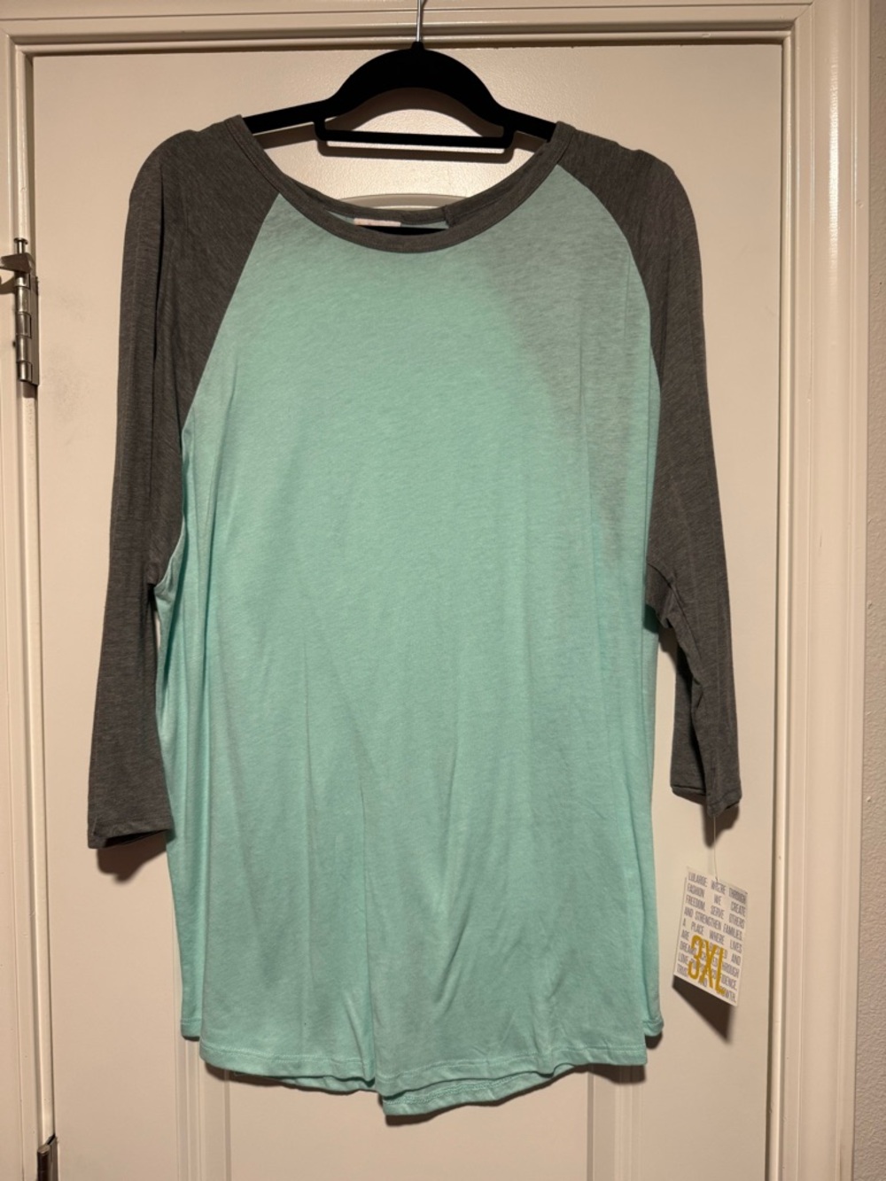 LuLaRoe Mint and Charcoal Raglan Long Sleeve Tee